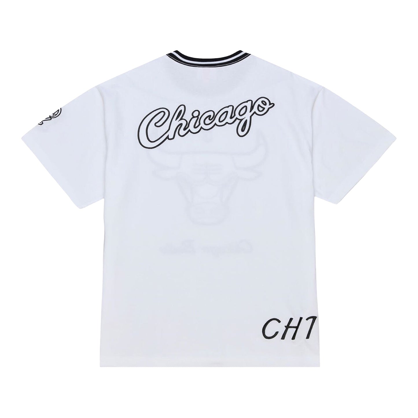 Chicago Bulls Mitchell & Ness Arctic White T-Shirt in White - Back View