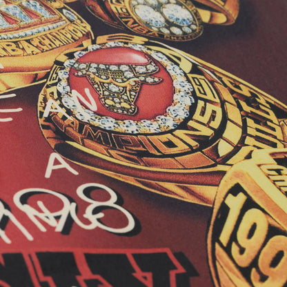 Chicago Bulls Mitchell & Ness Dennis Rodman Don't Mean A Thing Heritage T-Shirt - Back DEtail View