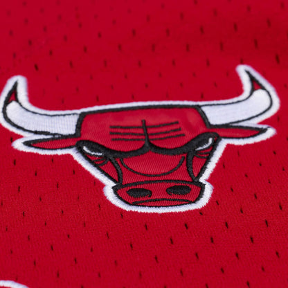 Chicago Bulls Mitchell & Ness Head Coach Baseball Jersey in Red - Embroidered Logo View
