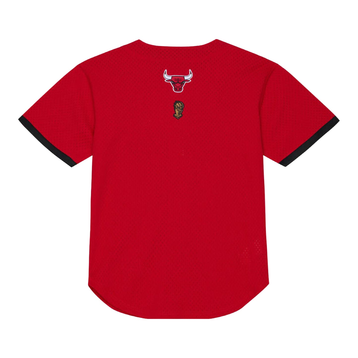 Chicago Bulls Mitchell & Ness Head Coach Baseball Jersey in Red - Back View