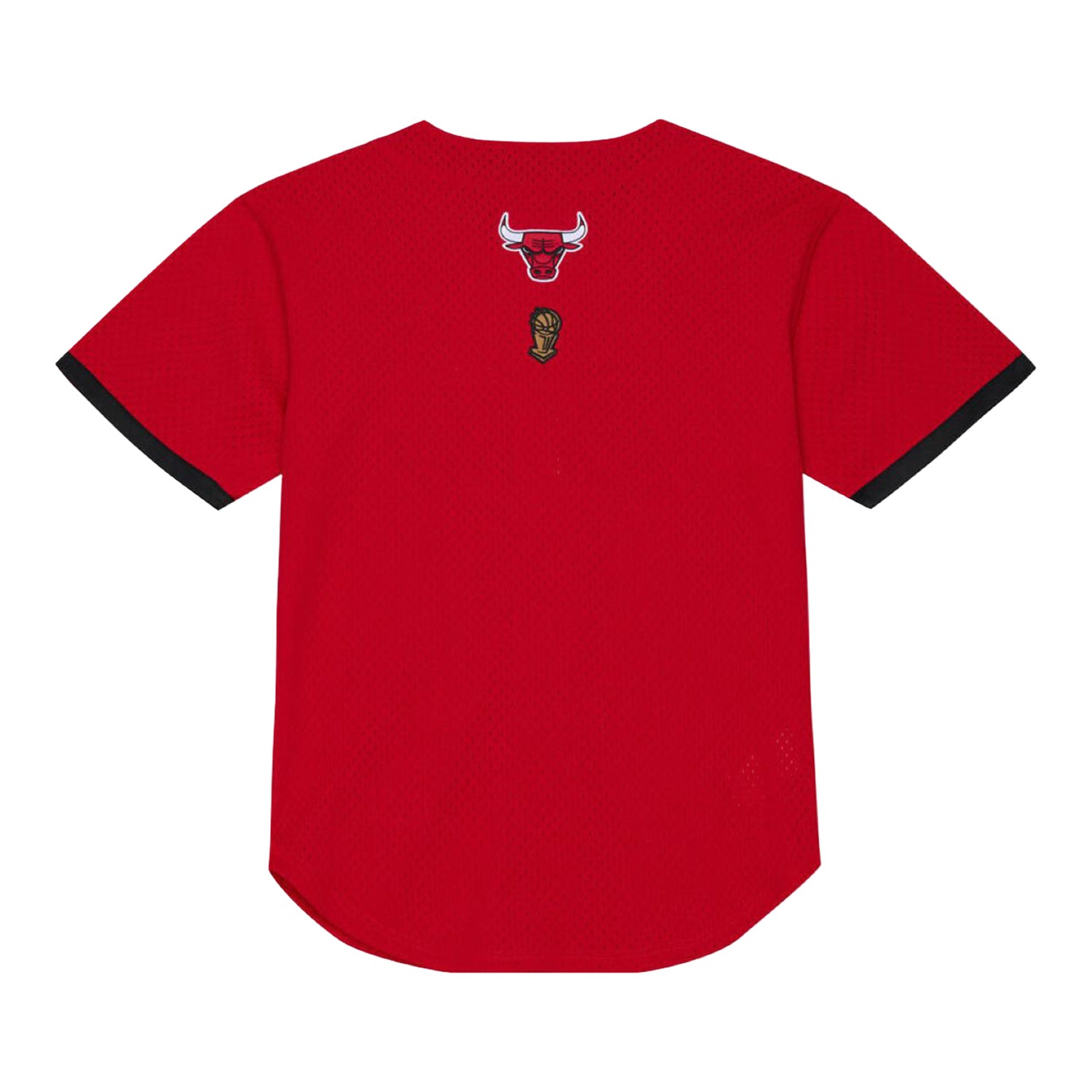 Chicago Bulls Mitchell & Ness Head Coach Baseball Jersey in Red - Back View