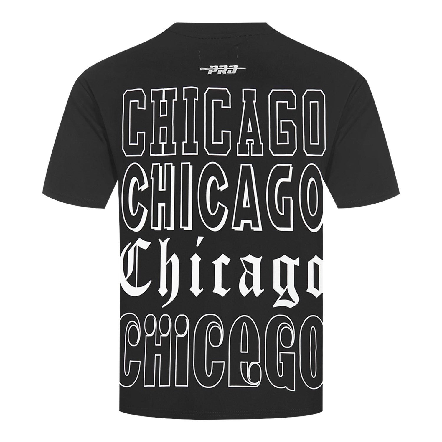 Chicago Bulls Pro Standard Billboard T-Shirt in Black - Back view