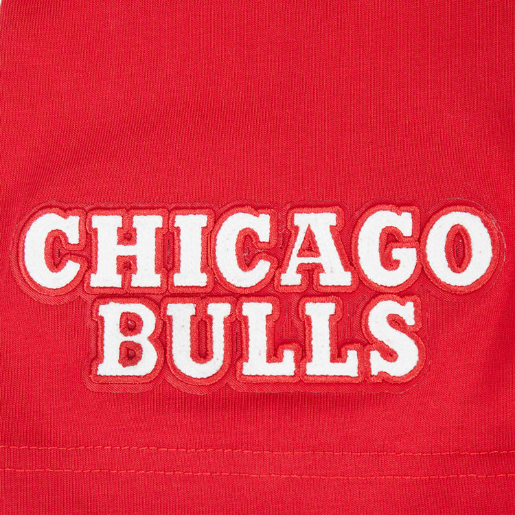 Chicago Bulls Pro Standard Fire And Roses T-Shirt in red - embroidered detail view