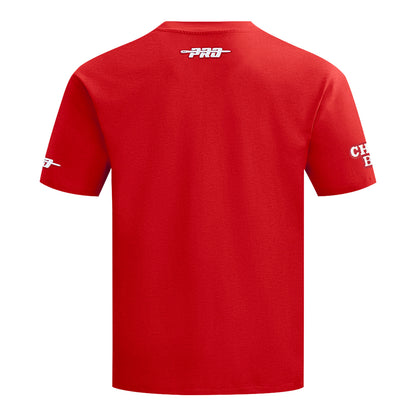 Chicago Bulls Pro Standard Fire And Roses T-Shirt in Red - back view
