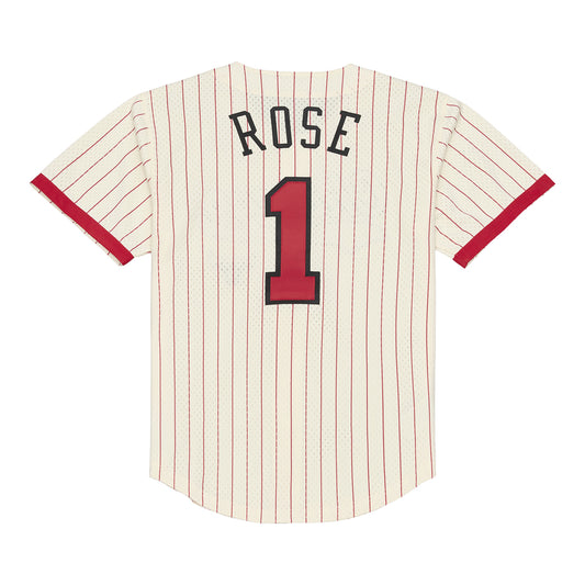 Chicago Bulls Mitchell & Ness Derrick Rose Mesh Baseball Jersey in White - Back View