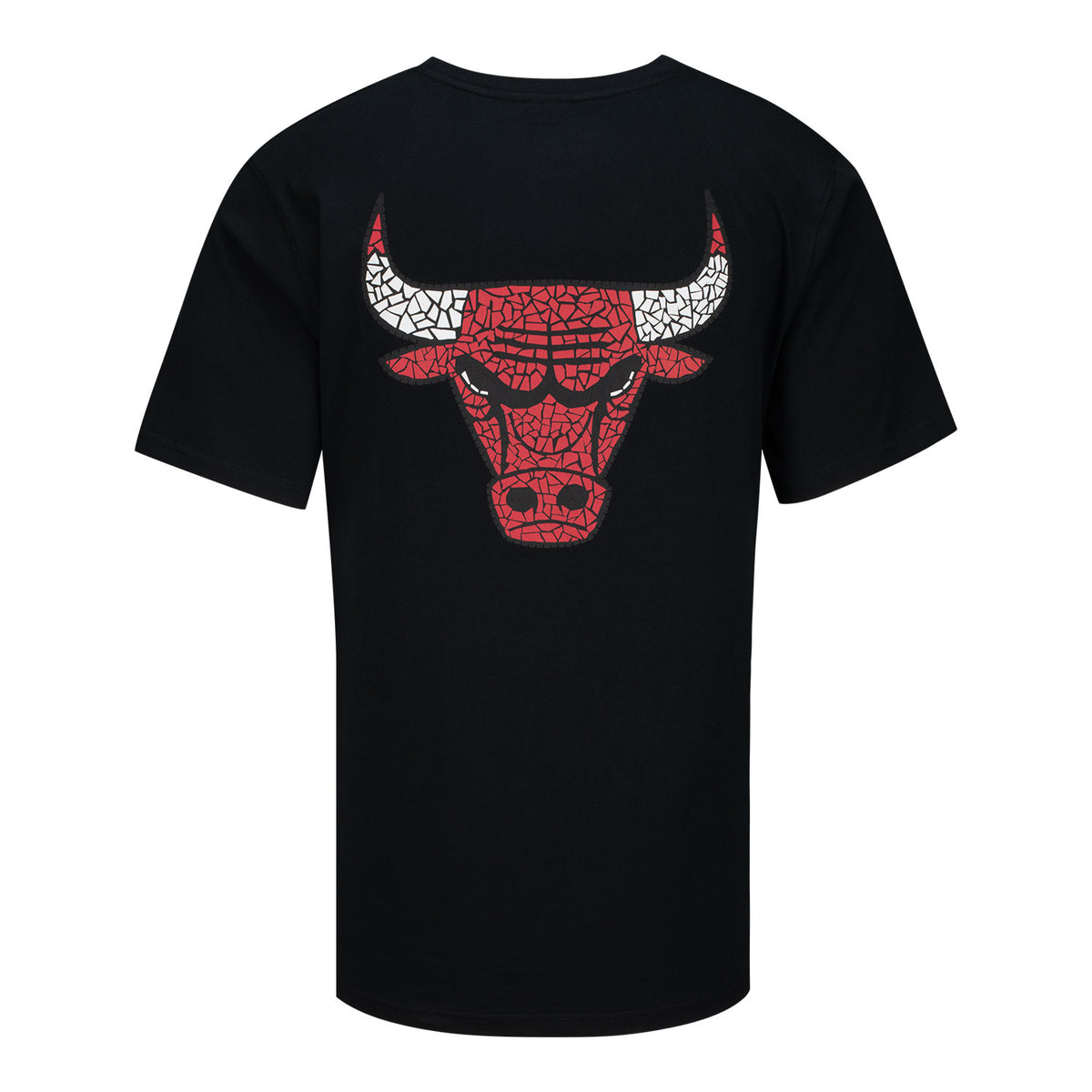 Chicago Bulls 1966 Los Bulls 2026-27 T-Shirt in Black - Back View