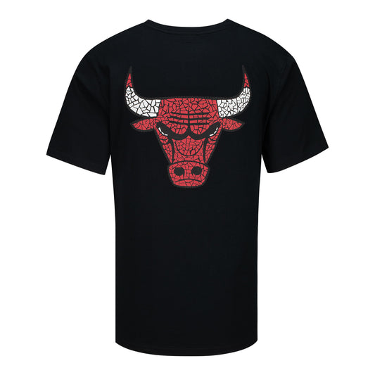 Chicago Bulls 1966 Los Bulls 2026-27 T-Shirt in Black - Back View