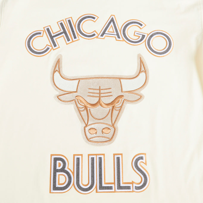 2024-25 CHICAGO BULLS CITY EDITION PRO STANDARD MULTI-LOGO EGG T-SHIRT - FRONT LOGO VIEW