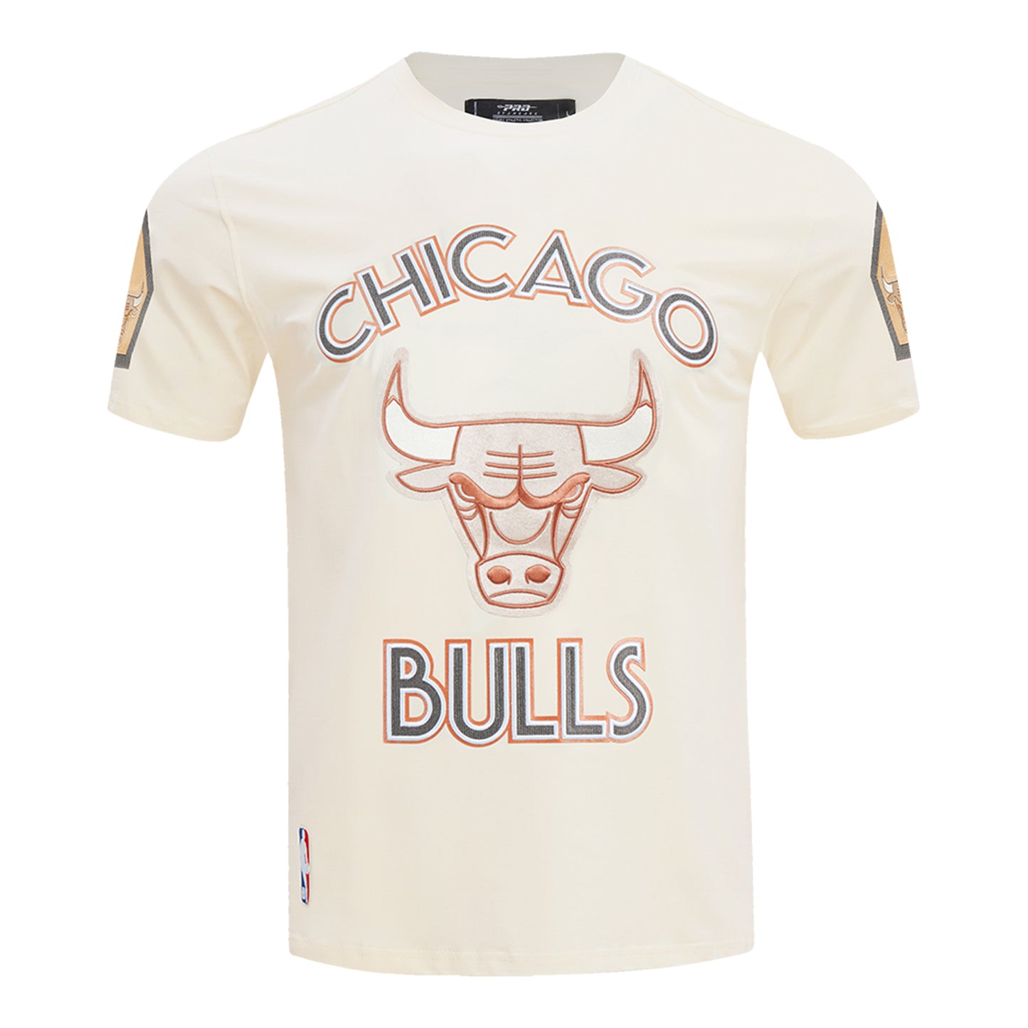 2024-25 CHICAGO BULLS CITY EDITION PRO STANDARD MULTI-LOGO EGG T-SHIRT - FRONT VIEW