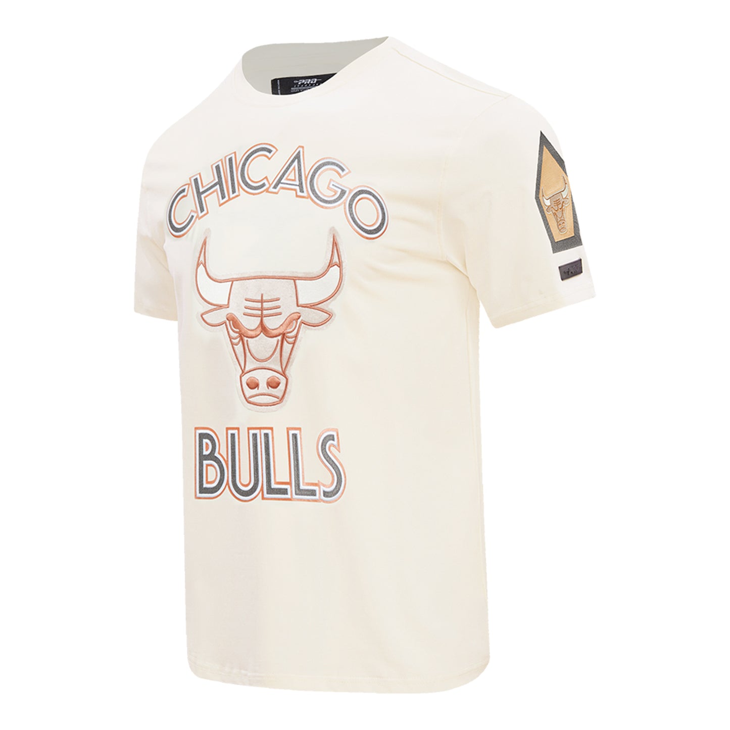 2024-25 CHICAGO BULLS CITY EDITION PRO STANDARD MULTI-LOGO EGG T-SHIRT - FRONT SIDE VIEW