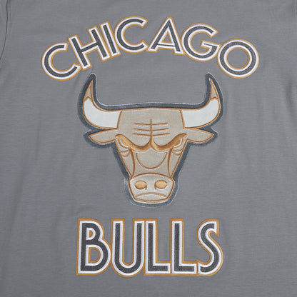 2024-25 CHICAGO BULLS CITY EDITION PRO STANDARD MULTI-LOGO GREY T-SHIRT - FRONT LOGO VIEW