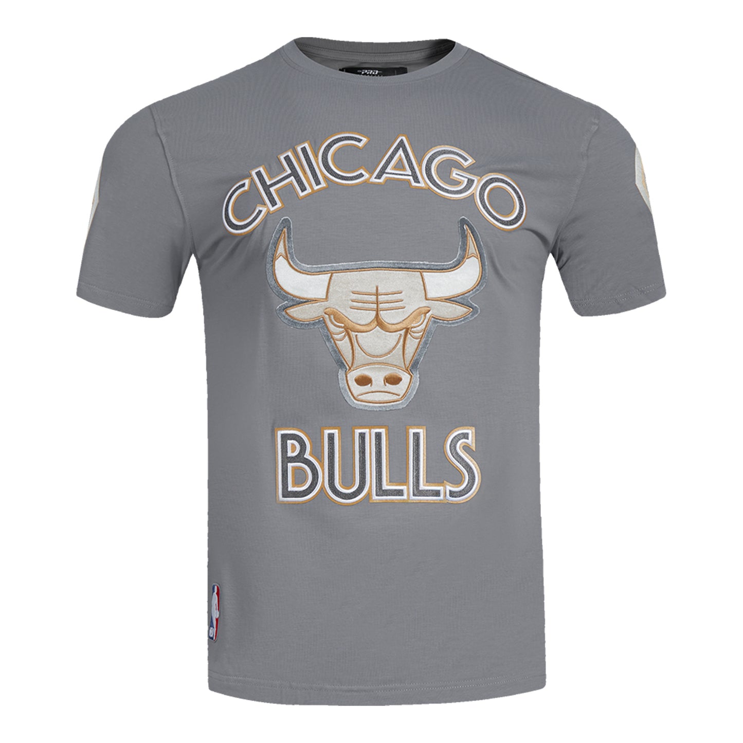 2024-25 CHICAGO BULLS CITY EDITION PRO STANDARD MULTI-LOGO GREY T-SHIRT - FRONT VIEW