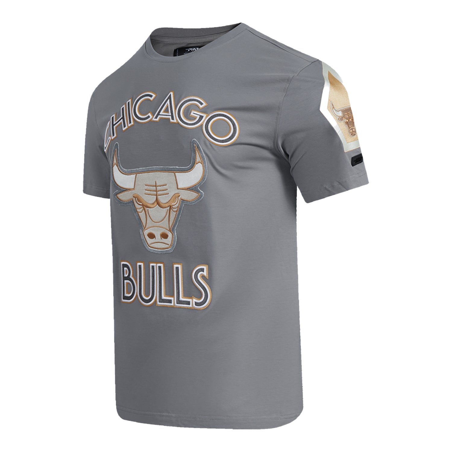 2024-25 CHICAGO BULLS CITY EDITION PRO STANDARD MULTI-LOGO GREY T-SHIRT - FRONT SIDE VIEW