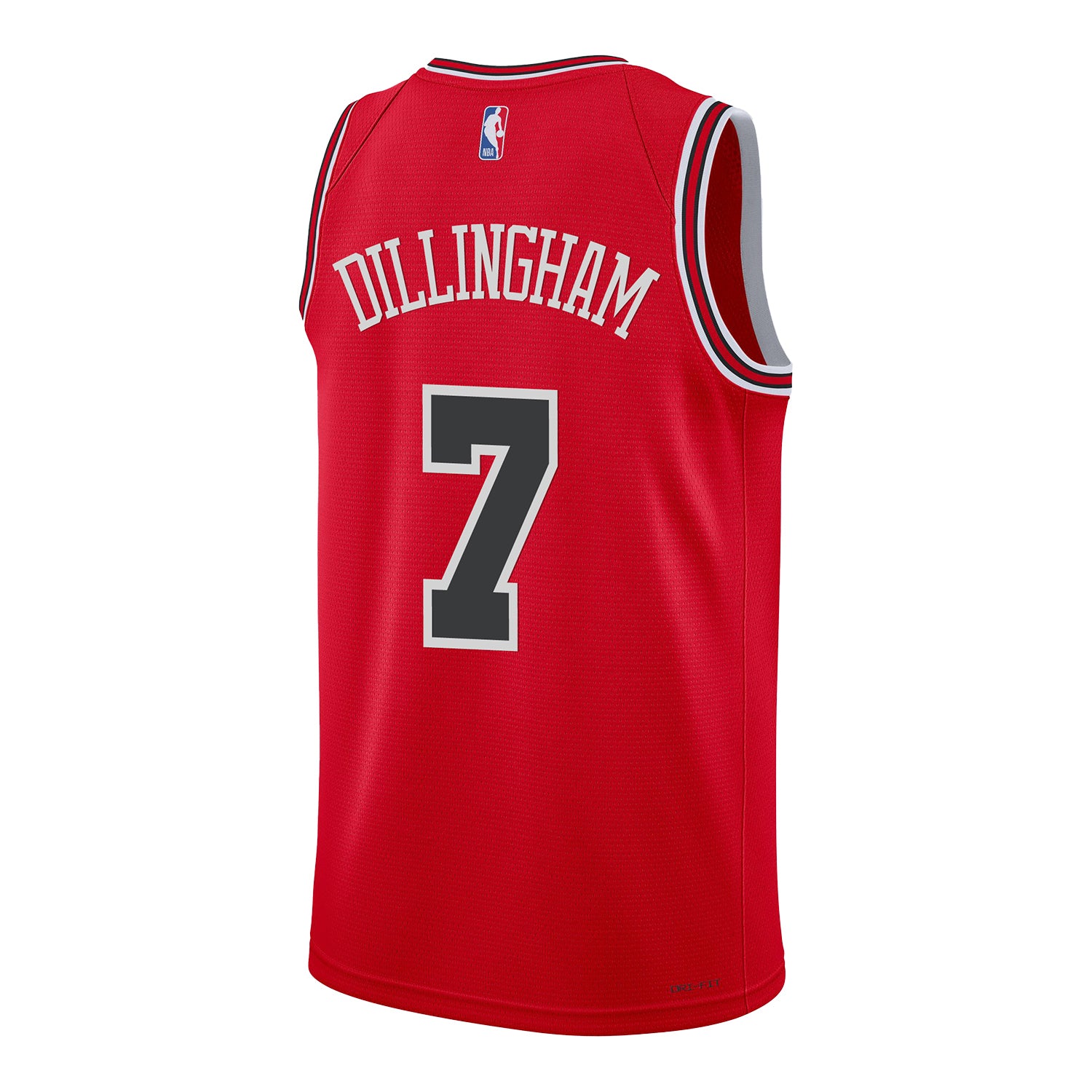 Chicago Bulls Rob Dillingham Icon Edition Swingman Jersey in Red - Back View