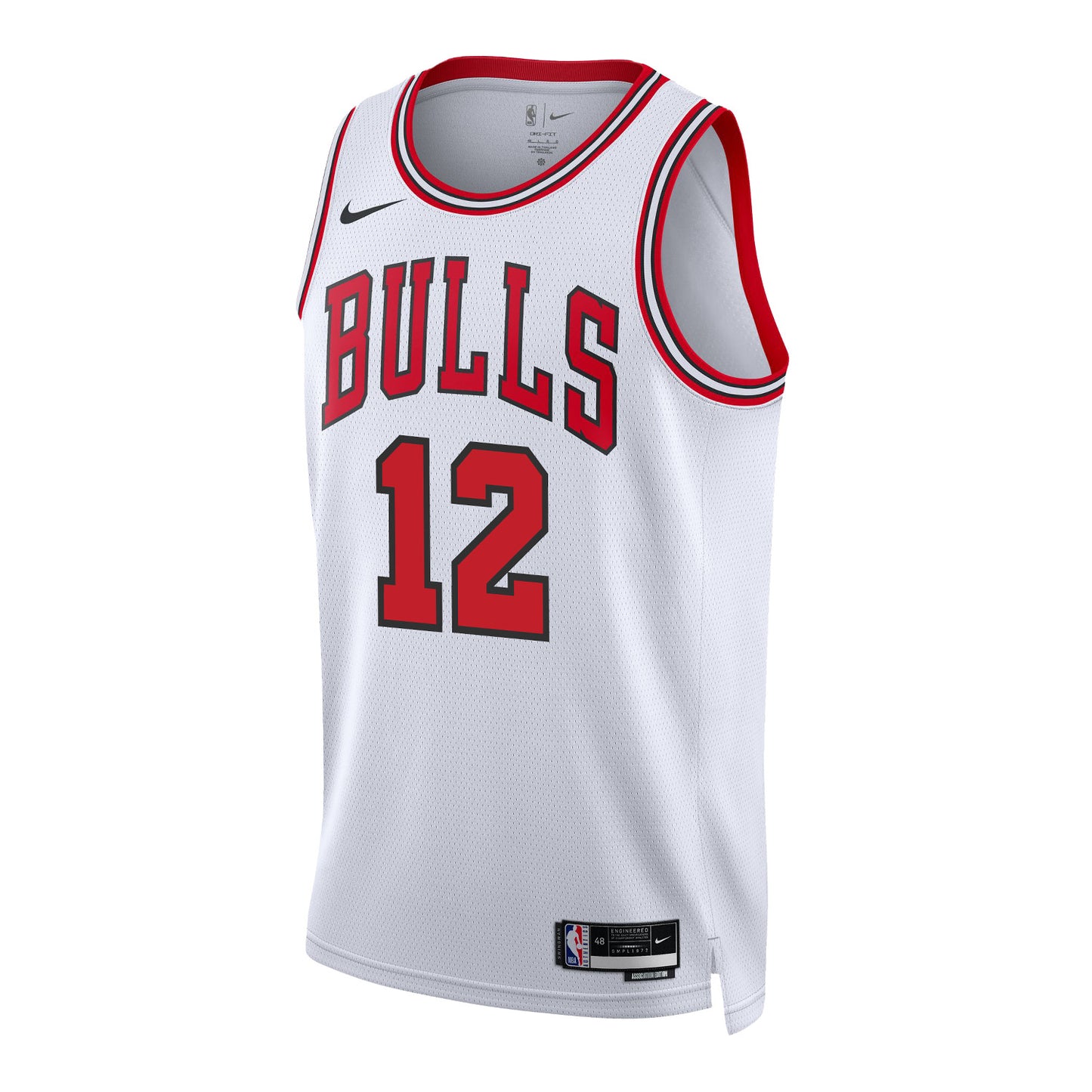 Chicago Bulls Ayo Dosunmu Nike Icon Swingman Jersey – Official