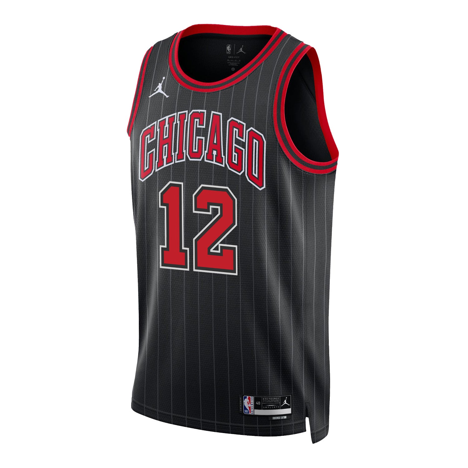 Chicago Bulls Ayo Dosunmu Nike Statement Swingman Jersey - Front View