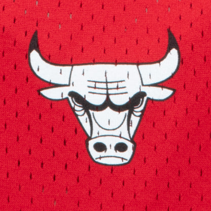 Chicago Bulls Authentic Lollapalooza 2024 Jersey