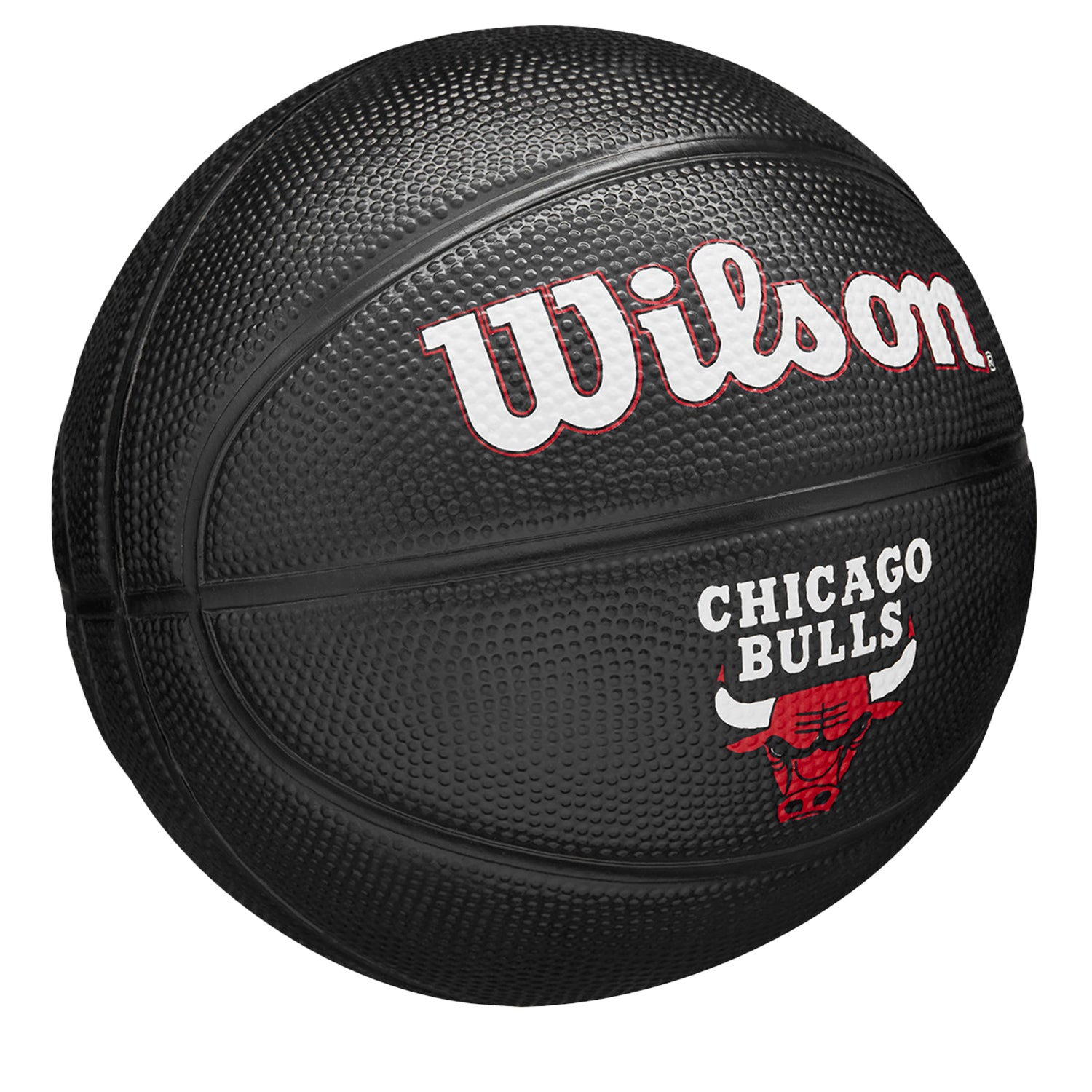 Chicago Bulls Team Mini All-Black Basketball