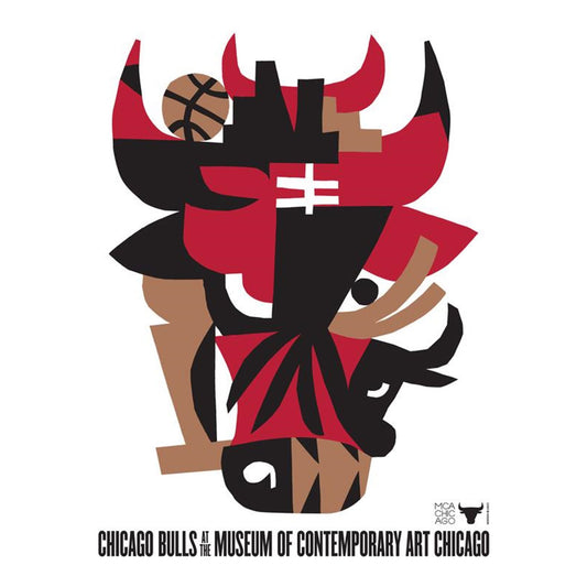Chicago Bulls x MCA Logo 18x24 Poster - Front View 