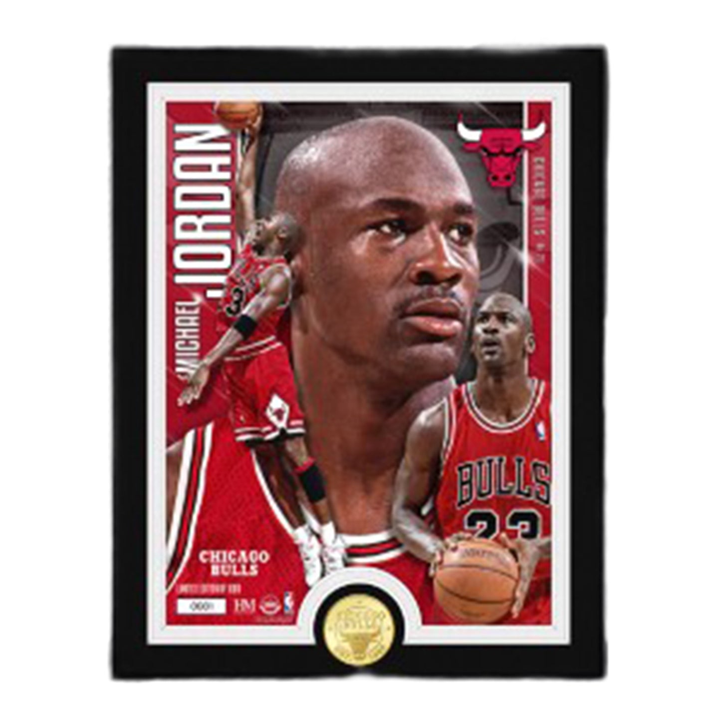 Chicago Bulls Michael Jordan Bronze Coin Artist Proof Photo Mint