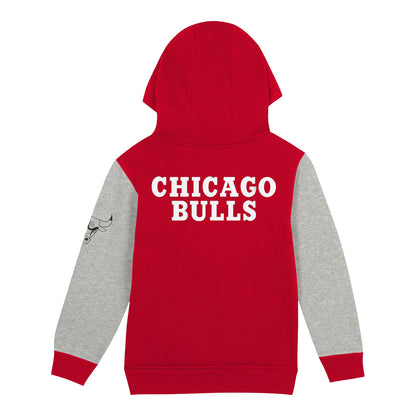 Toddler Chicago Bulls Outerstuff Fair Catch Pullover Hooded Sweatshirt In Red - Back View