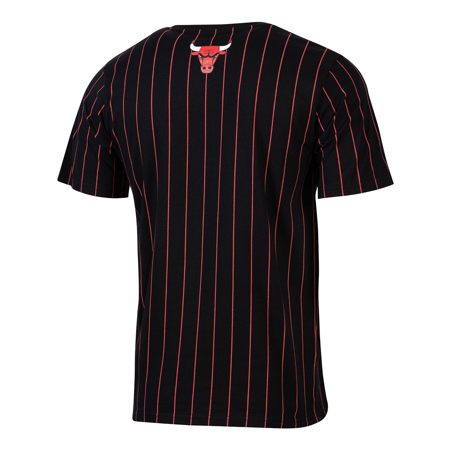 Youth Chicago Bulls Sport Design Sweden Pinstripe T-Shirt in Black - Back View