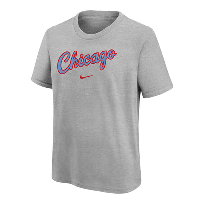 Youth Chicago Bulls Nike City Edition Essential T-Shirt in Grey - Front View