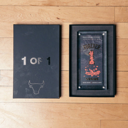 Chicago Bulls Eventshop Derrick Rose Collectible Ticket - Acrylic Case